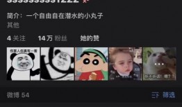 张恒父亲爆料郑成华视频,视频曝光惊人真相